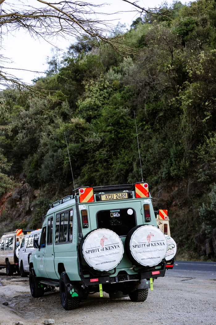 Safari vehicles parked along a lush green road in Kenya, perfect for African adventures.